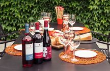 Vineyard tour with tasting of 6 Garda Wines