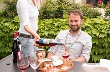 Vineyard tour with tasting of 6 Garda Wines