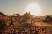 Explore Wadi Rum Desert with Camel Ride Experience with Stay