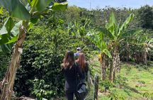 Private Tour to Guatapé & Coffee Farm from Medellín!
