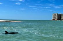 Private Best of Marco Island Dolphin Tour