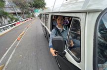 Mexico City PRIVATE Lucha Libre, mezcal & Tacos on a 1975 VW Bus