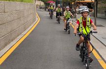 Market Food Tour & Evening E-bike Ride in Seoul