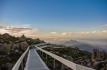 Shore Excursion: Nipaluna (Hobart) Highlights 