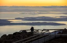 Shore Excursion: Nipaluna (Hobart) Highlights 