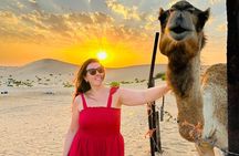 Abu Dhabi: Evening Desert Safari with Camel Ride, BBQ & Live Show