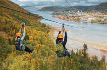 Zipline Experience in Mosjøen