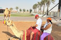 Morning Desert Safari, 25 Minutes ATV with 20 minutes Camel Ride 