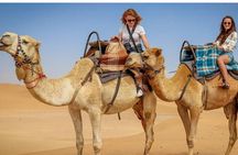 Red Dunes Morning Safari With Quad Biking & Camel Ride