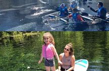 Silver Springs Clear Kayak Wildlife Experience
