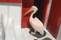 Private Mykonos Tour with Luxury car 