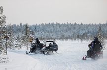 Two hours Snowmobile Safari Driving into Lappish Forests