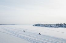 Two hours Snowmobile Safari Driving into Lappish Forests