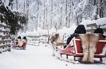 Arctic Circle Highlights Family Day