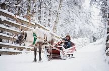 Arctic Circle Highlights Family Day