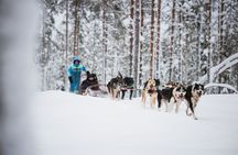 Rovaniemi 2 days Activities Package
