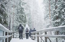 Ranua Wildlife Park Day : Visit the Arctic Animals!