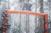 Ranua Wildlife Park Day : Visit the Arctic Animals!