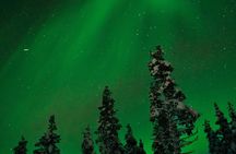 Rovaniemi: Northern Lights Tour