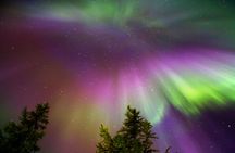 Rovaniemi: Northern Lights Tour