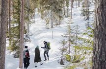 Rovaniemi - Visit to The Frozen Waterfalls of Korouoma