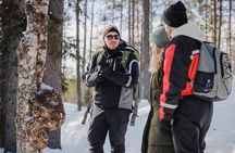 Rovaniemi - Visit to The Frozen Waterfalls of Korouoma