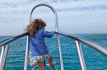 Satayeh Reef , Swimming with Dolphins, Snorkeling in Marsa Alam