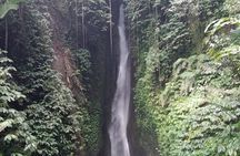Private Tour from Leke-Leke Waterfall to Jatiluwih Rice Terrace