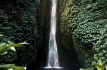 Private Tour from Leke-Leke Waterfall to Jatiluwih Rice Terrace