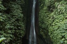 Private Tour from Leke-Leke Waterfall to Jatiluwih Rice Terrace
