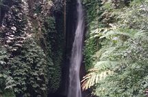 Private Tour from Leke-Leke Waterfall to Jatiluwih Rice Terrace