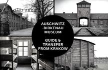 Guided Group Tour to Auschwitz-Birkenau from Krakow