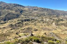 2-Day Hiking Tour to the Colca Canyon