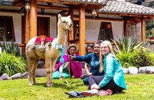 Full Day Private Tour to Chimborazo and La Moya Community