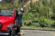 Half Day Private Tour in St. Lucia Jeep Wrangler