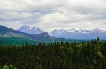Denali Park Nature Walk (3 Hours) w/Expert Naturalist