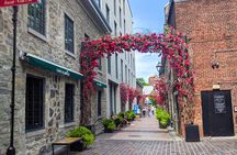 Semi-Private Old Montréal Walking Tour by Guidatour