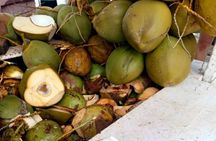 Private Puerto Plata Food Tour and Beach Chillout 