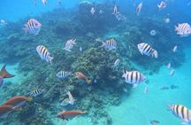 Short Excursion 4-Hour Party Catamaran and Snorkeling