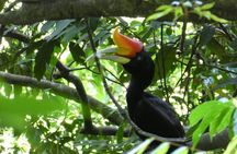 Bukit lawang 2 Day 1 Night with camping 