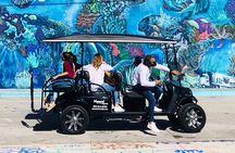 Small-Group Brewery Golf Cart Tour of Wynwood with a Local Guide