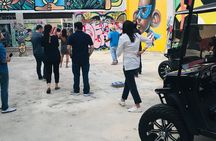 Small-Group Brewery Golf Cart Tour of Wynwood with a Local Guide
