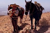 Horseback Ride in Guanajuato with Live Music and Food