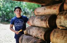 Private Activity Full Day Bee Matters Protect a Bee