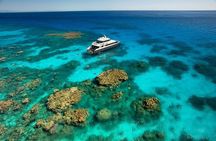 Half-Day Outer Reef Snorkelling Tour