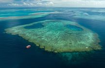 Outer Reef Snorkel Adventure in Airlie Beach