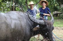 Local Farming Experience in Chiang Mai, Thailand