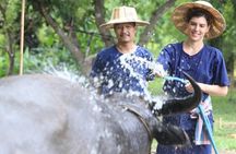 Local Farming Experience in Chiang Mai, Thailand