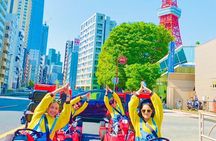 Flagship 2-Hours Official Street Go-Kart Tour - Tokyo Bay Shop