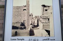 12 Days all Egypt Cairo pyramid cruise Hurghada 